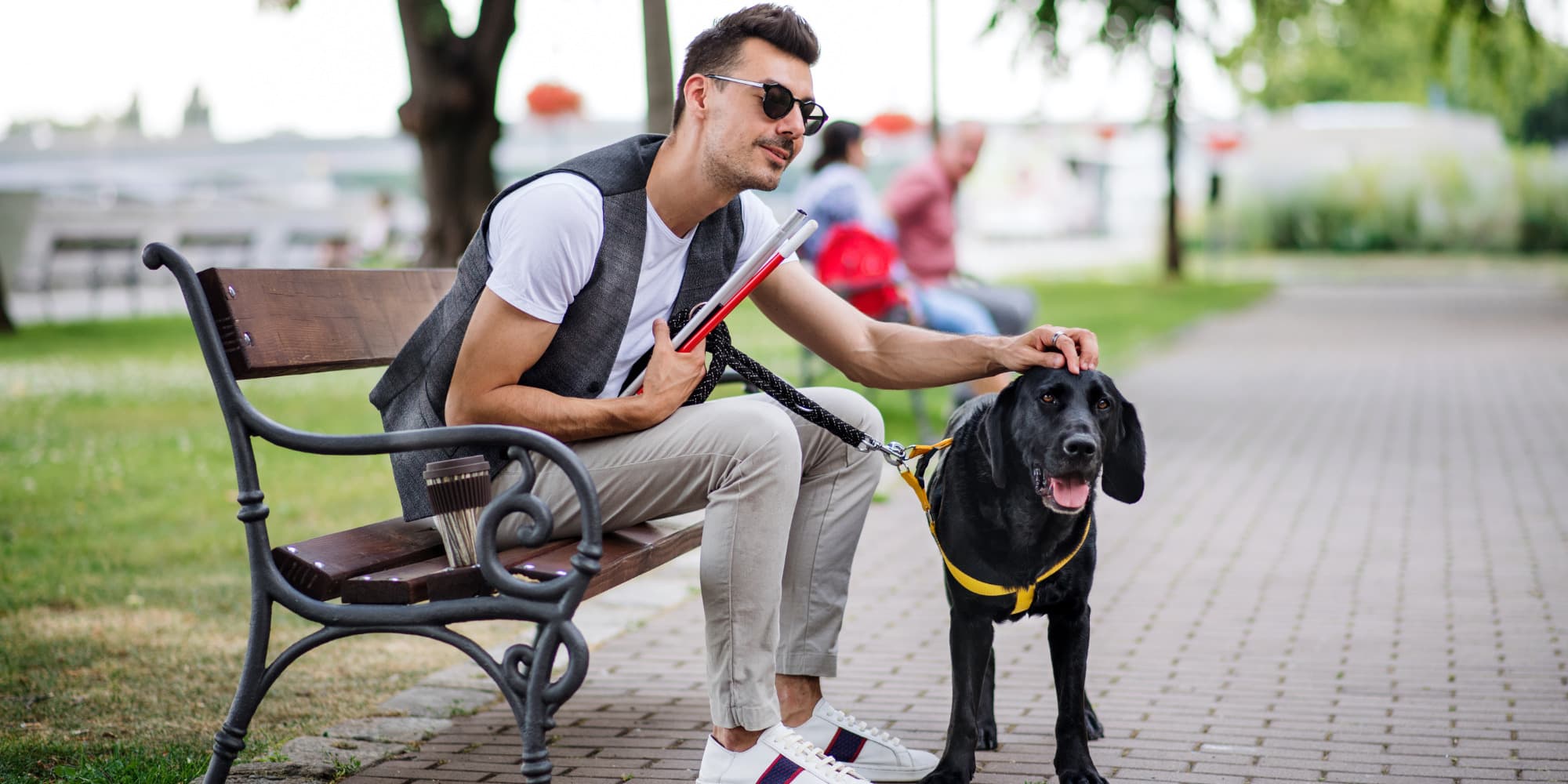 A blind man holding a folded white cane and a leash to a black guide dog. He is petting the dog's head while sitting on a bench in the park.