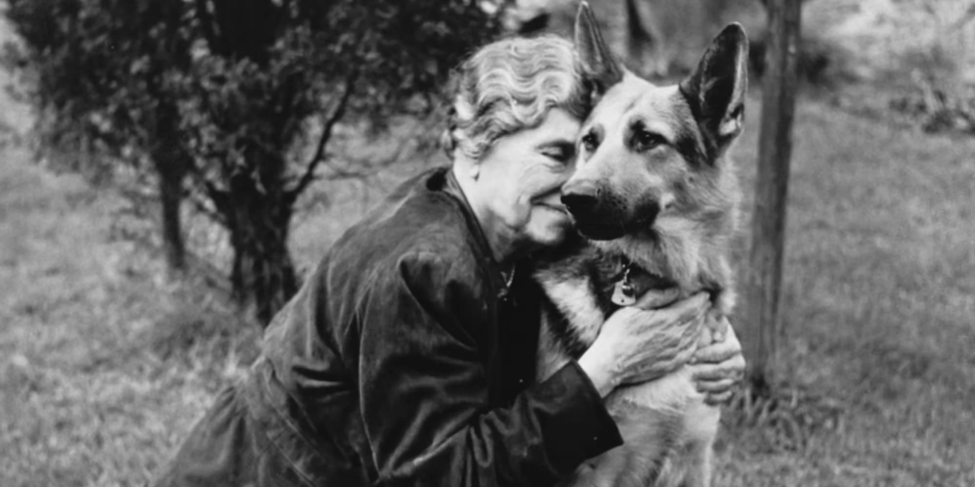 A black and white photo of an elderly Helen Keller embracing a German Shepard dog in a paddock.