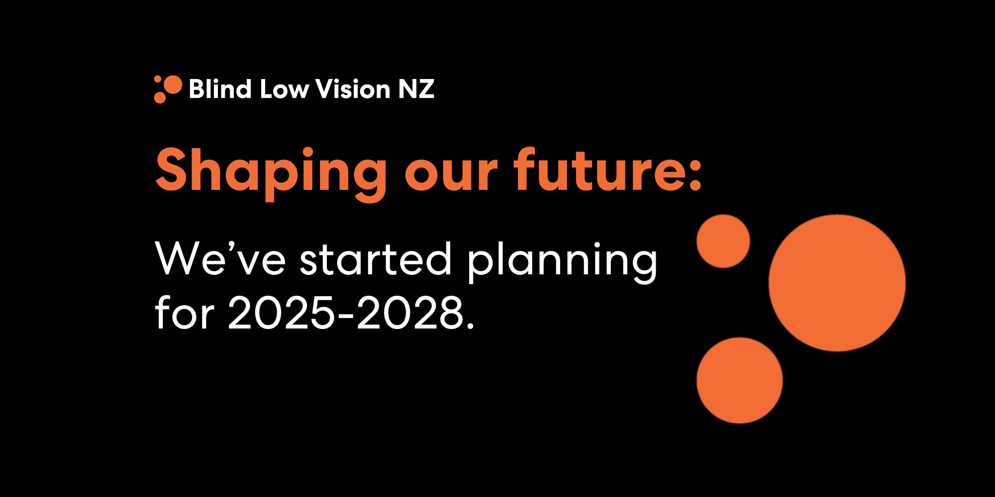 The Blind Low Vision NZ logo above the text Shaping Our Future: We've started planning for 2025-2028.