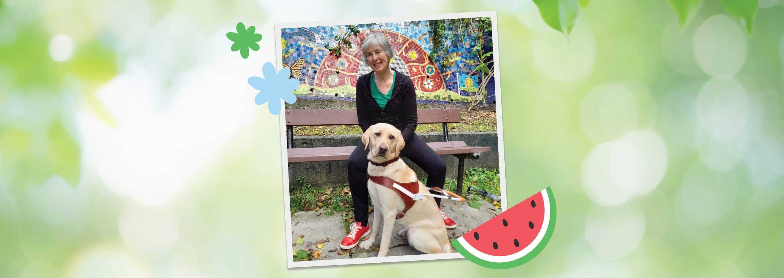 A woman with grey hair sitting on a park bench. There is a colourful mosaic wall in the background. Her yellow Labrador guide dog is wearing a harness and is sitting by her feet. The image is decorated with illustrations of blue flowers and a slice of watermelon.