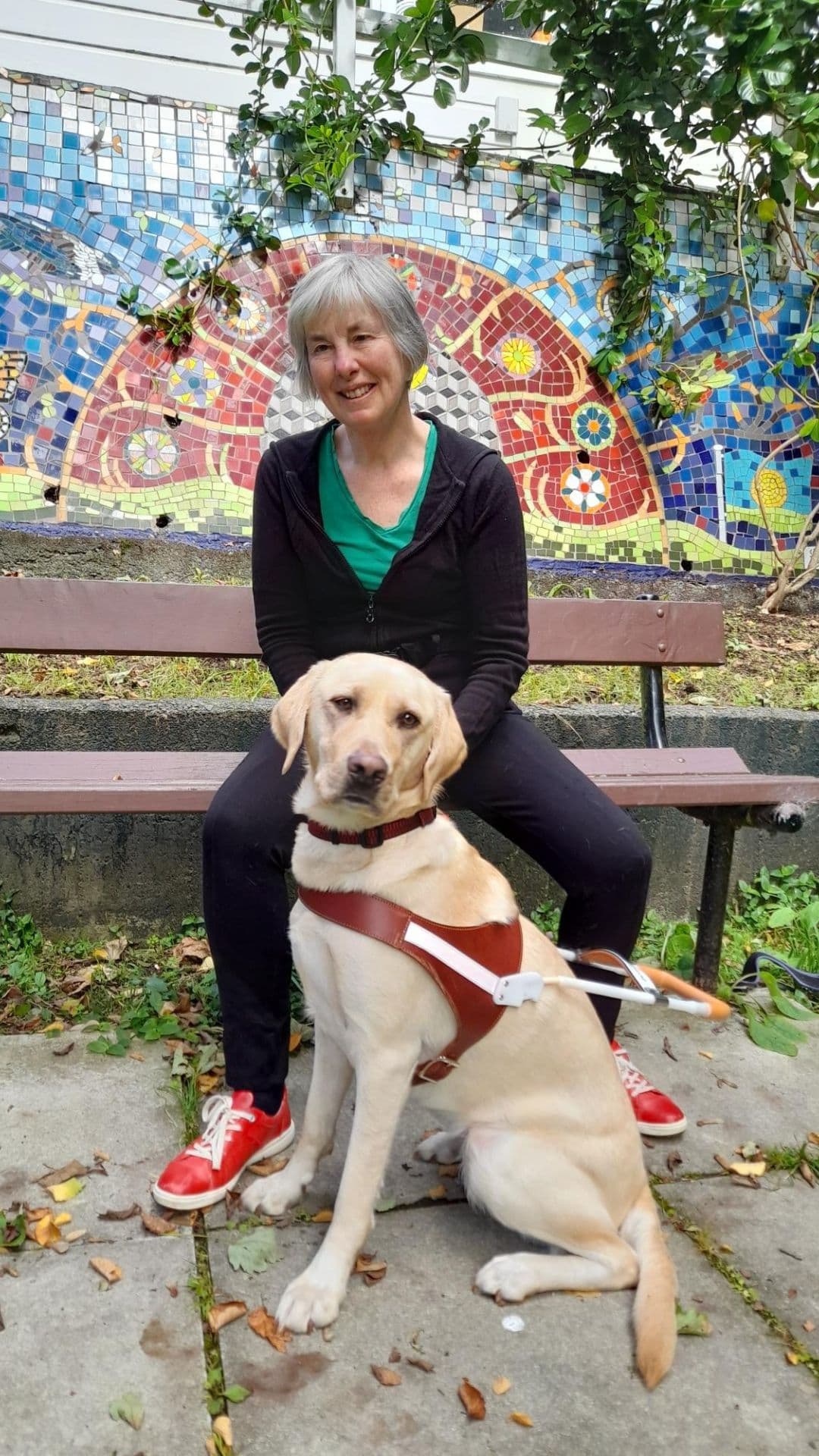 Cheryl is sitting on a park bench, with a colourful mosaic wall behind her. She is wearing a black zip up jumper, red shoes, a green top and black jeans. She is smiling with her blonde labrador guide dog Joanie sitting between her legs. Joanie is wearing a brown guide dog harness.