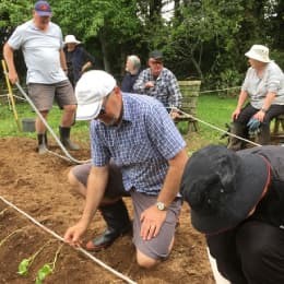 A group of volunteers are doing some gardening in their community