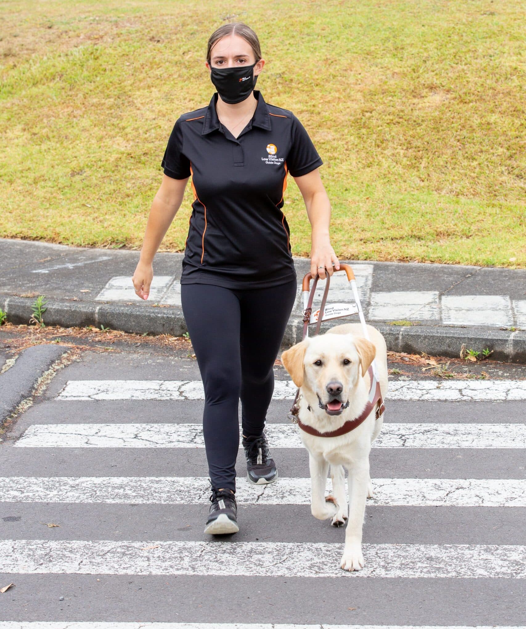 A Guide Dog Mobility Instructor is out training a guide dog. They are crossing at a pedestrian crossing and walking towards the camera.