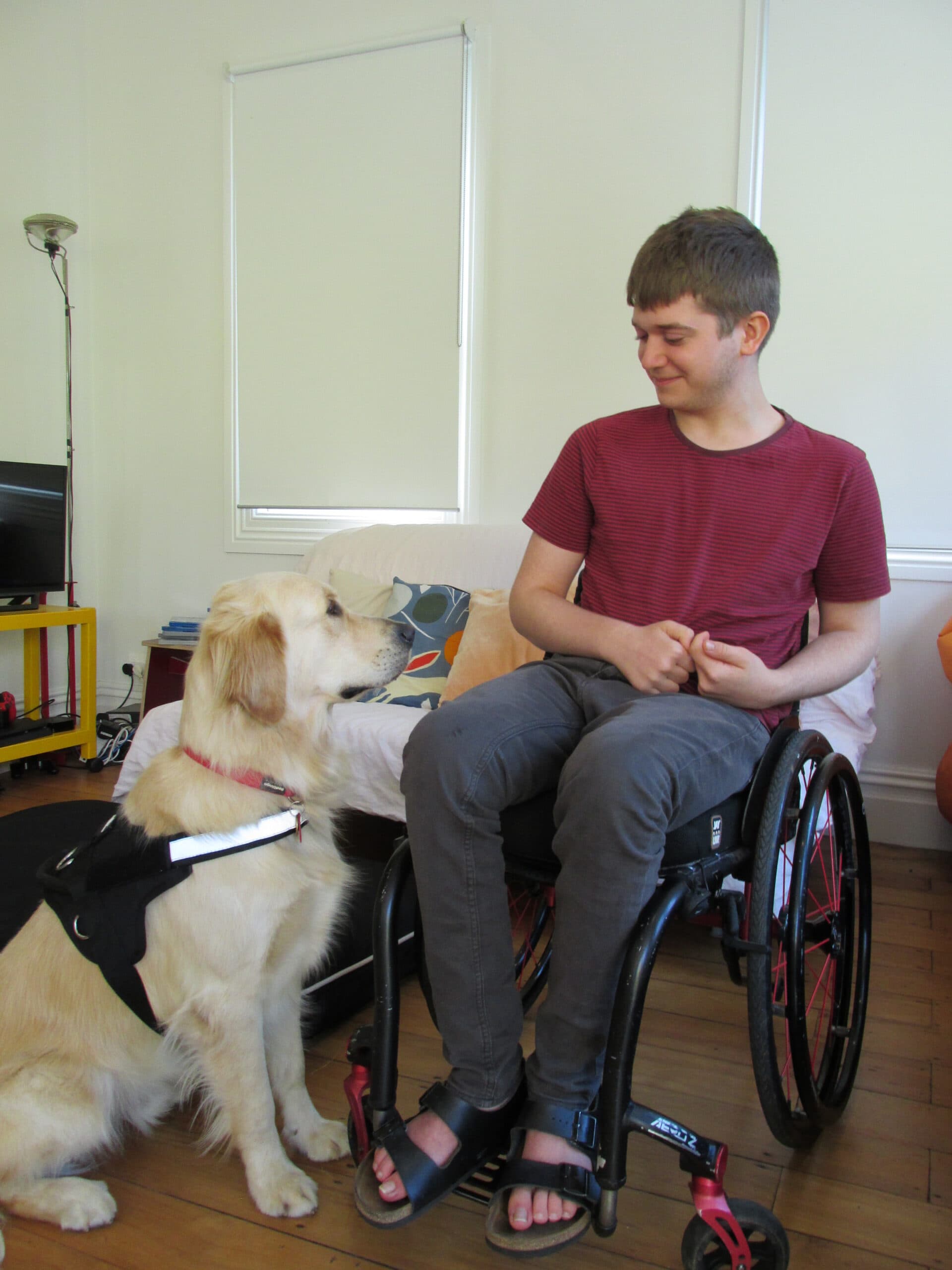 Client Marvin looks adoringly at his Vision Loss Assistance Dog, Mason. Marvin is in a wheelchair.