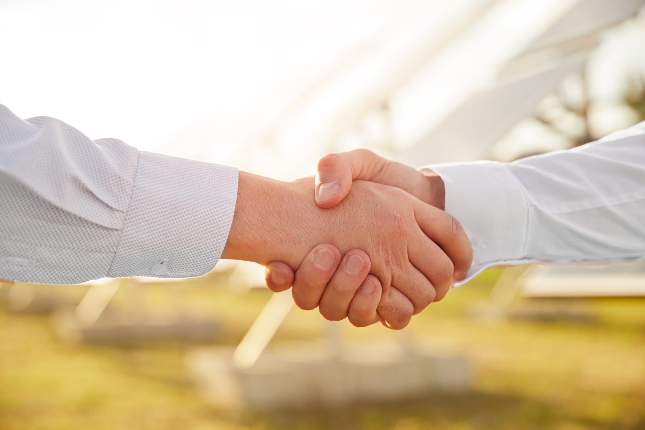Two people are shaking hands on a bright day