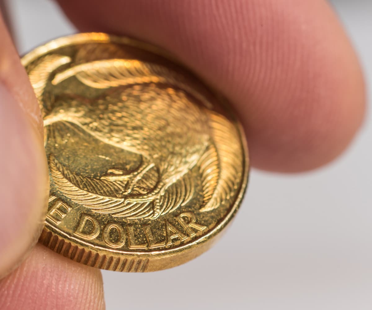 A close up image of a hand holding a dollar coin.