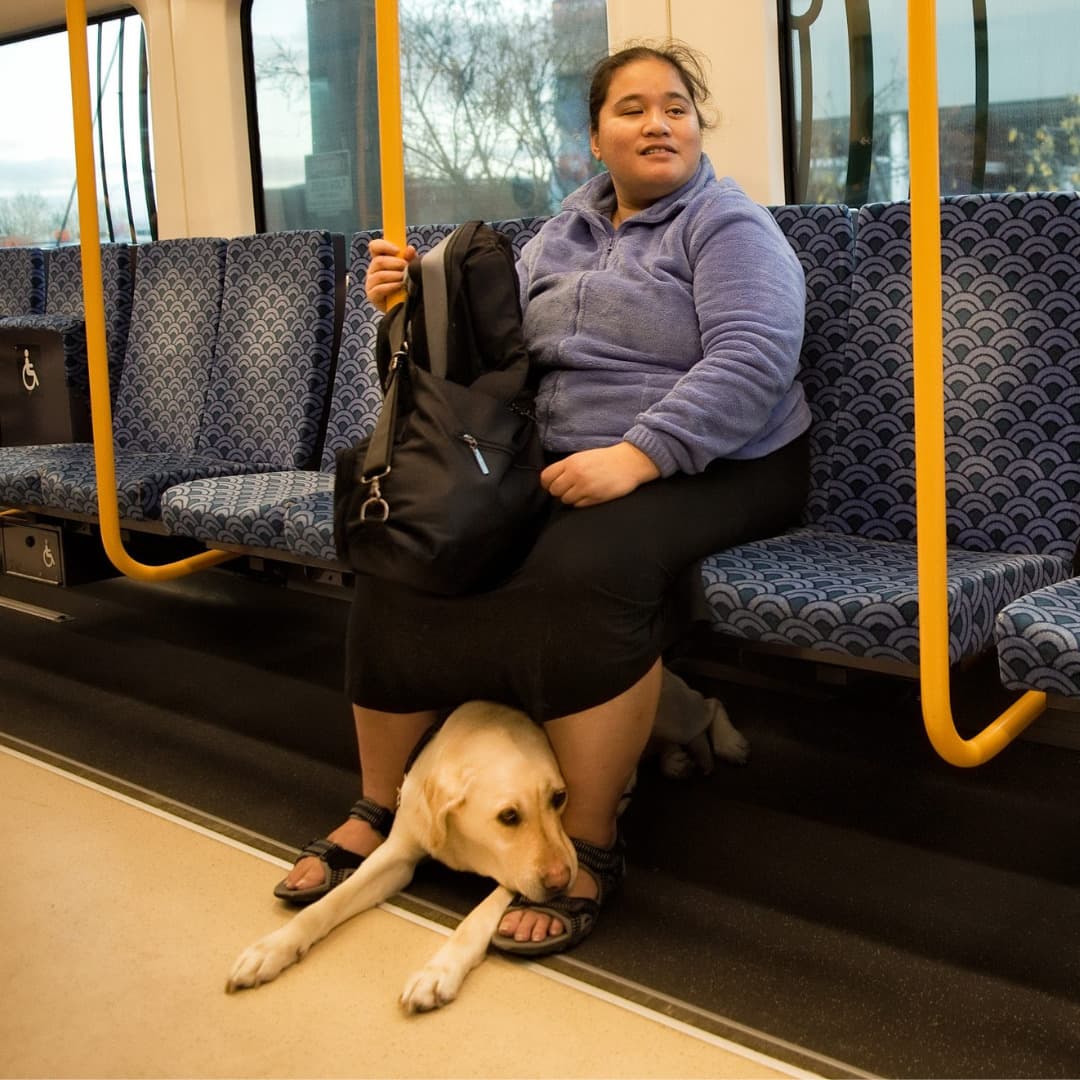 An image of Client Sina and her guide dog sitting on a train as she travels to work.