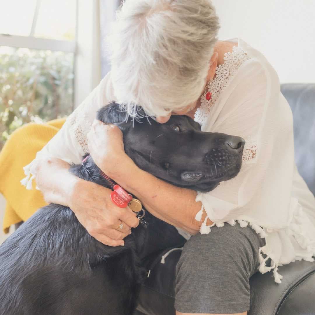 Gifts in Wills. A lady hugging a guide dog.