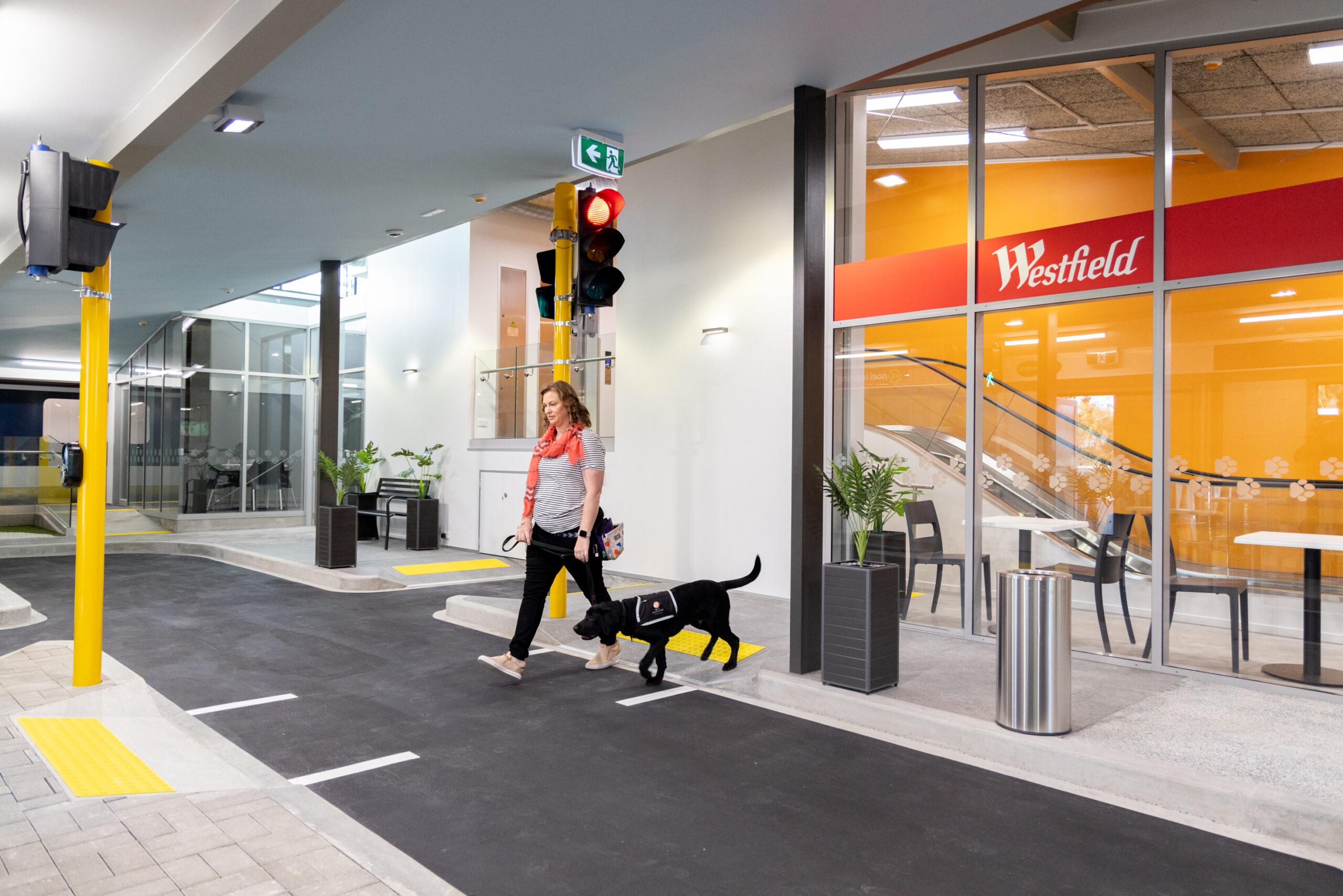 Blind Low Vision NZ - Blind Low Vision NZ Mobility Centre